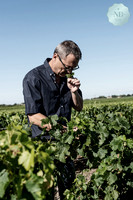Wine Enthusiast Magazine- USA