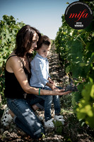 Wine Enthusiast Magazine- USA