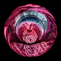 Domaine des Lambrays-Clos Des Lambrays-Grand Cru