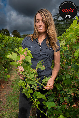 Wine Enthusiast Magazine- USA