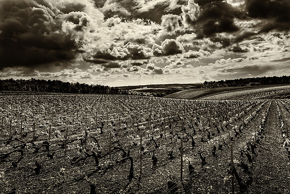 Wine Enthusiast Magazine- USA